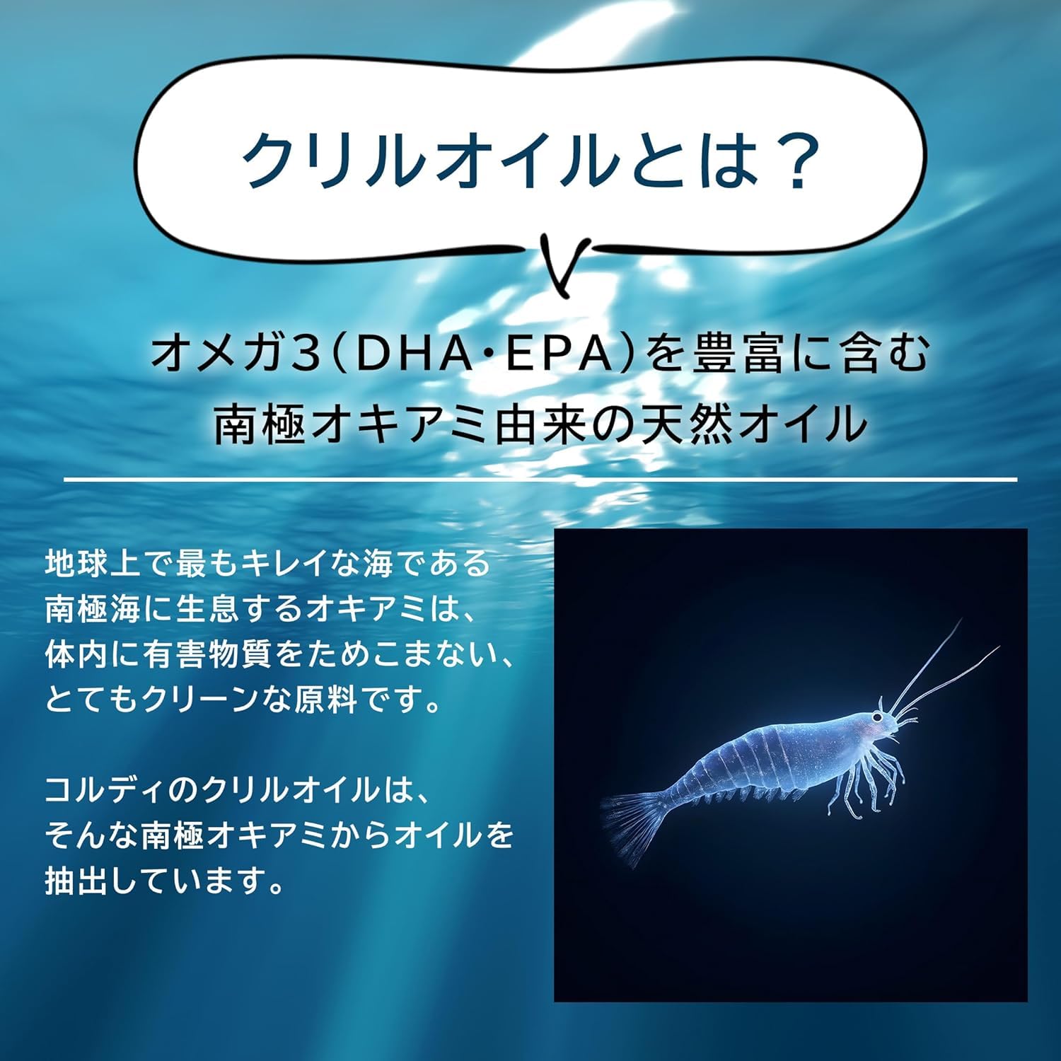 Amazon.co.jp: しあわせくりる クリルオイル サプリ [機能性表示食品